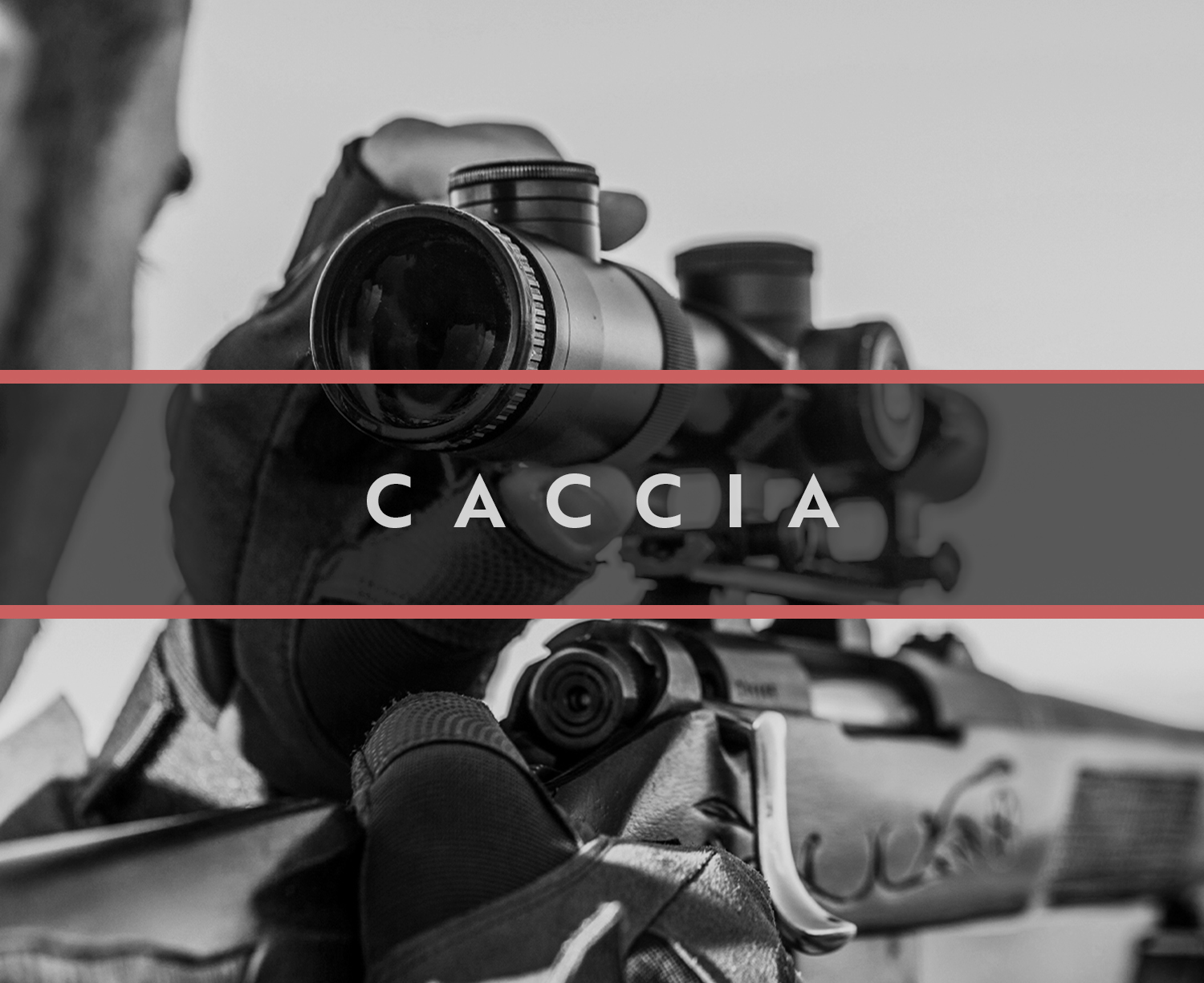 caccia